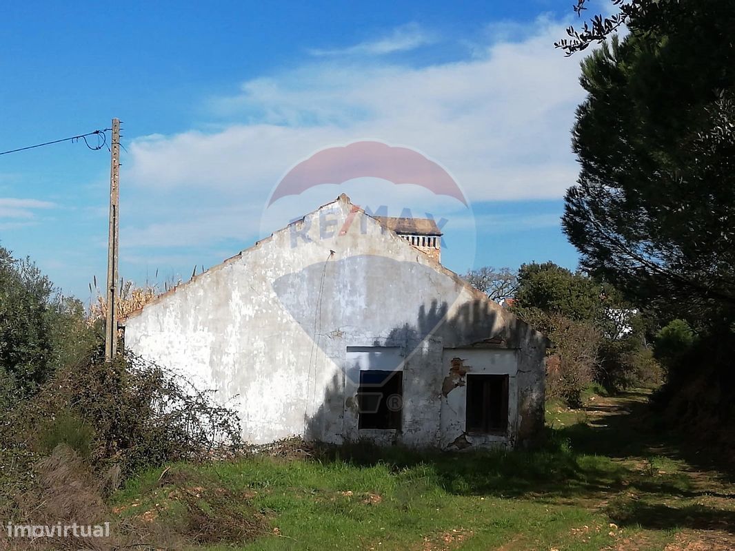 3 غرف نوم منزل في Santa Margarida da Coutada, Portugal رقم 25528