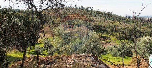 3 غرف نوم منزل في Santa Margarida da Coutada, Portugal رقم 25528 2