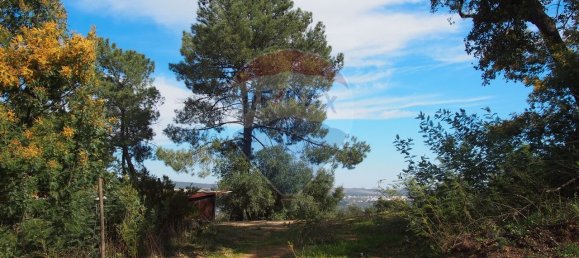 3 غرف نوم منزل في Santa Margarida da Coutada, Portugal رقم 25528 5