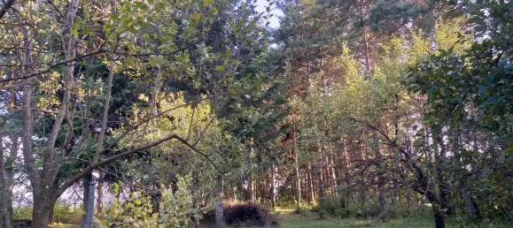 2-salle Maison à Schachendorf, Austria No. 190419 2