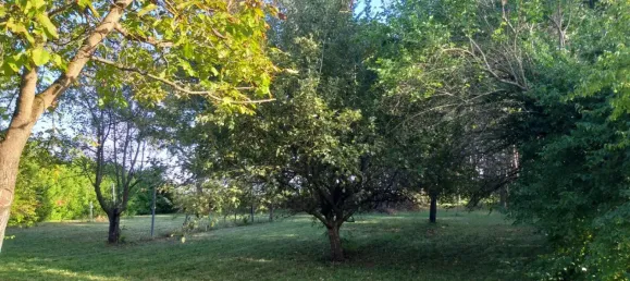 2-salle Maison à Schachendorf, Austria No. 190419 24