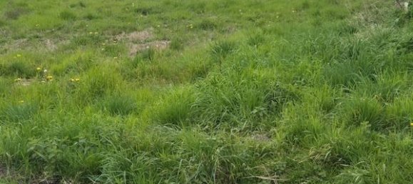 Земельный участок 1098м² в Дё-Севр, Франция № 341697 9