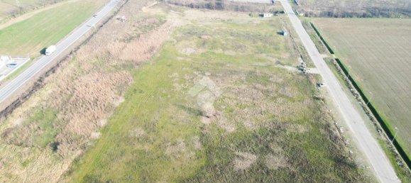 14800m² Land in Offlaga, Italy No. 155512 9