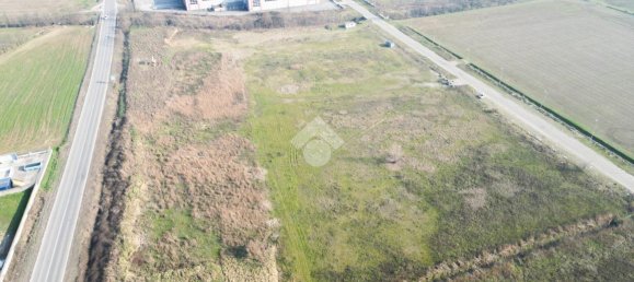 14800m² Land in Offlaga, Italy No. 155512 6