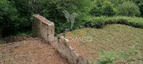 15 Schlafzimmer Haus in Marco de Canaveses, Portugal, Nr. 39575 6