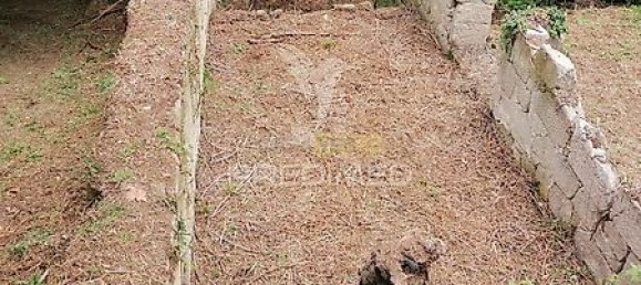 15 Schlafzimmer Haus in Marco de Canaveses, Portugal, Nr. 39575 8