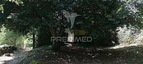 15 Schlafzimmer Haus in Marco de Canaveses, Portugal, Nr. 39575 2