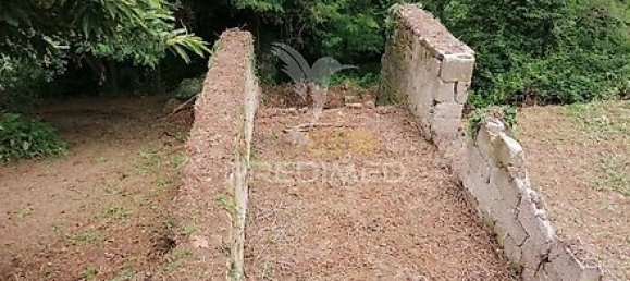 15 Schlafzimmer Haus in Marco de Canaveses, Portugal, Nr. 39575 5