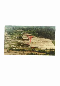 15 Schlafzimmer Haus in Marco de Canaveses, Portugal, Nr. 39575