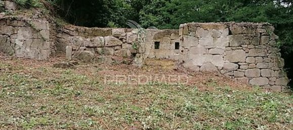 15 Schlafzimmer Haus in Marco de Canaveses, Portugal, Nr. 39575 7