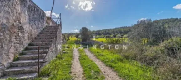 10 bedrooms House in Algaida, Spain No. 186825 6