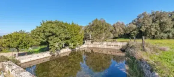 10 bedrooms House in Algaida, Spain No. 186825 4