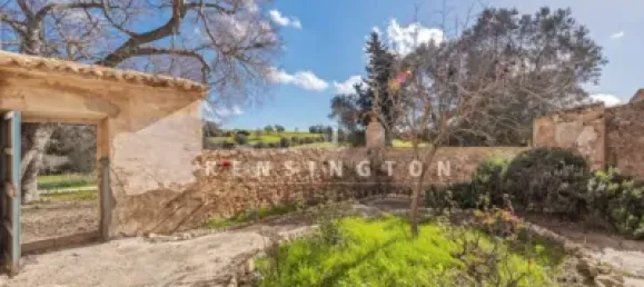 10 bedrooms House in Algaida, Spain No. 186825 36