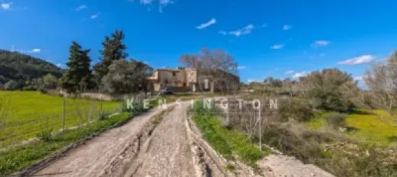 10 bedrooms House in Algaida, Spain No. 186825 12