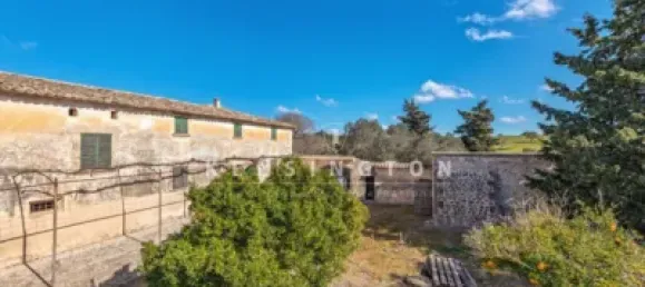 10 bedrooms House in Algaida, Spain No. 186825 33