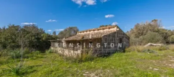 10 bedrooms House in Algaida, Spain No. 186825 8