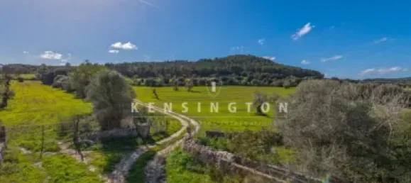 10 bedrooms House in Algaida, Spain No. 186825 11