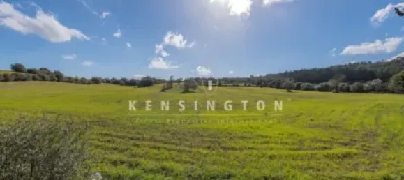 10 bedrooms House in Algaida, Spain No. 186825 10