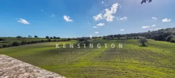 10 bedrooms House in Algaida, Spain No. 186825 35