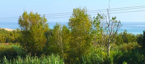 2 chambres Appartement à Sari-Solenzara, France No. 159487 3