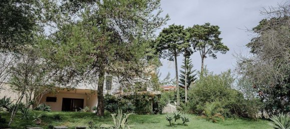 5 bedrooms Villa in Setubal, Portugal No. 131174 19