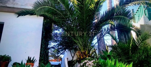 5 bedrooms Villa in Setubal, Portugal No. 131174 40