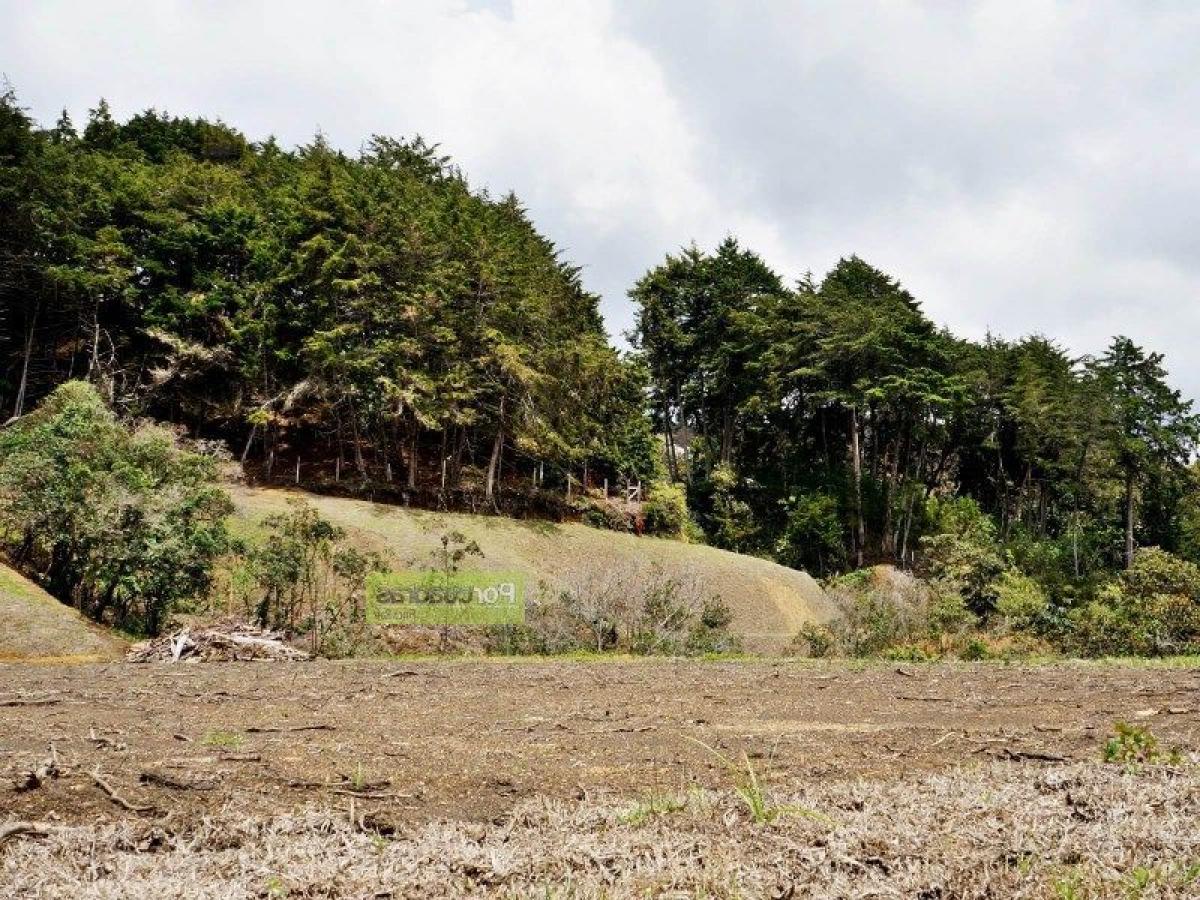  قطعة أرض في Antioquia, Colombia رقم 435