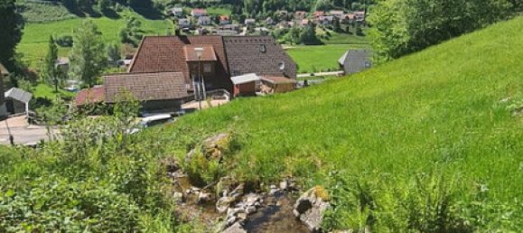  Land in Lorrach, Germany No. 217906 7