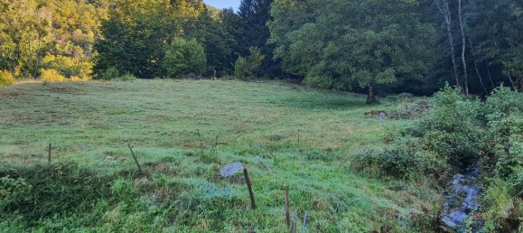  Land in Lorrach, Germany No. 217906 3