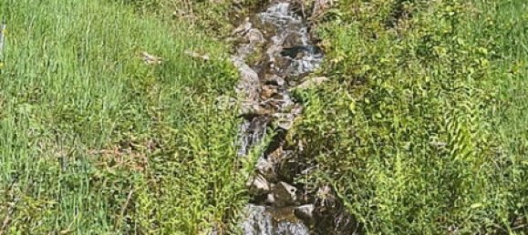  Land in Lorrach, Germany No. 217906 8