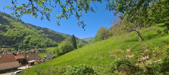  Land in Lorrach, Germany No. 217906 4