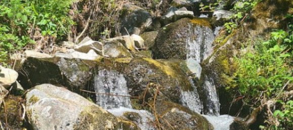  Land in Lorrach, Germany No. 217906 6