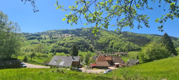  Land in Lorrach, Germany No. 217906 5