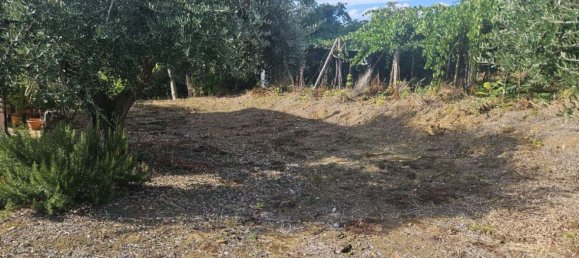 4 bedrooms House in Ortona, Italy No. 337745 41