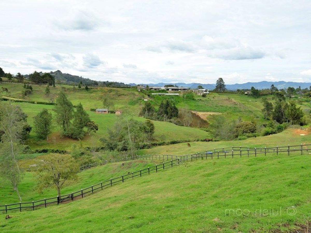 Grundstück in Antioquia, Colombia, Nr. 749