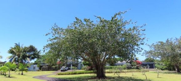 4 bedrooms Villa in Bel Ombre, Mauritius No. 94 15