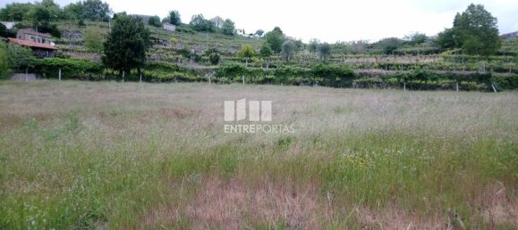  قطعة أرض في Baiao, Portugal 3800متر مربع رقم 57477 3