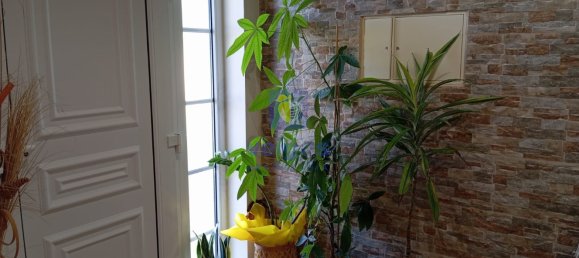 3 Schlafzimmer Villa in Caldas da Rainha, Portugal, Nr. 270419 12