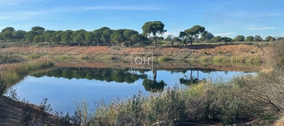 14 bedrooms Castles in Grandola, Portugal No. 109668 20