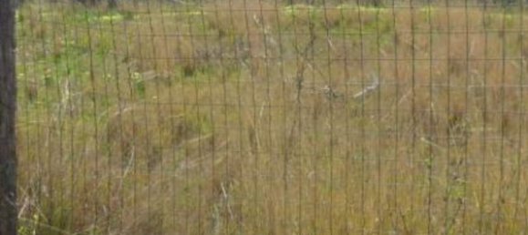 1350m² Land in Scalea, Italy No. 276003 2