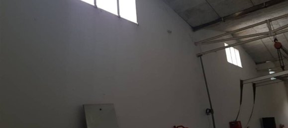 Lagerhaus in La Spezia, Italy 270m², Nr. 220064 4