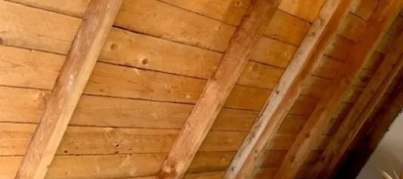 Moradia em banda T1 em Greiz, Germany N.º 349066 31