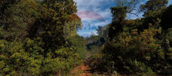 7800m² Land in Loule, Portugal No. 41757 9