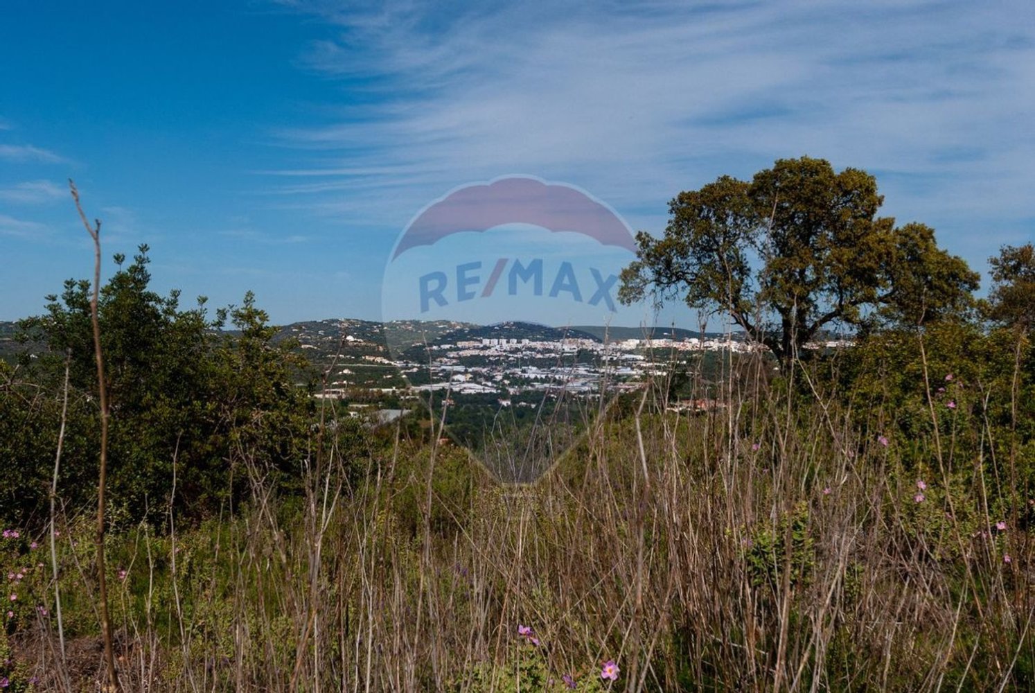 7800m² Land in Loule, Portugal No. 41757