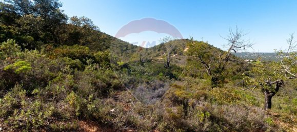 7800m² Land in Loule, Portugal No. 41757 10