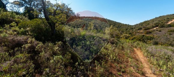 7800m² Land in Loule, Portugal No. 41757 7