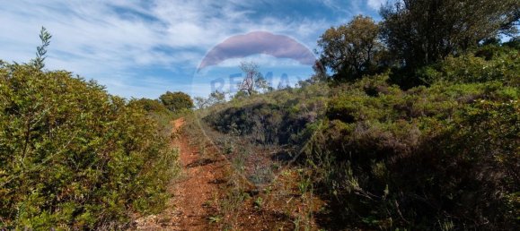 7800m² Land in Loule, Portugal No. 41757 8