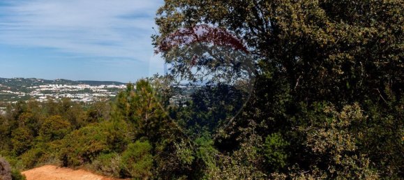 7800m² Land in Loule, Portugal No. 41757 6