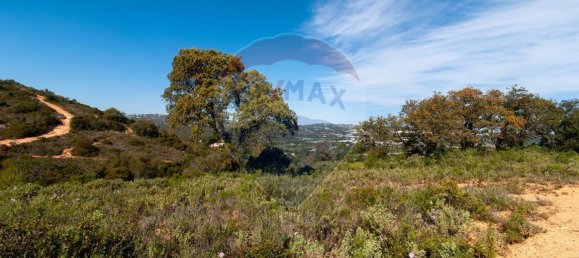7800m² Land in Loule, Portugal No. 41757 5