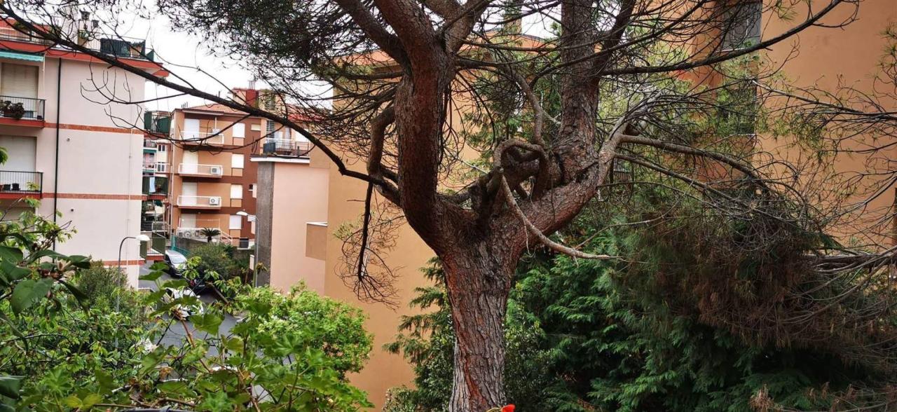 4 rooms Apartment in Varazze, Italy No. 92187